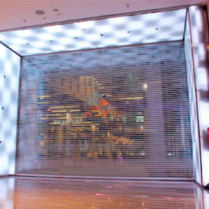 Transparent Roller Shutter London